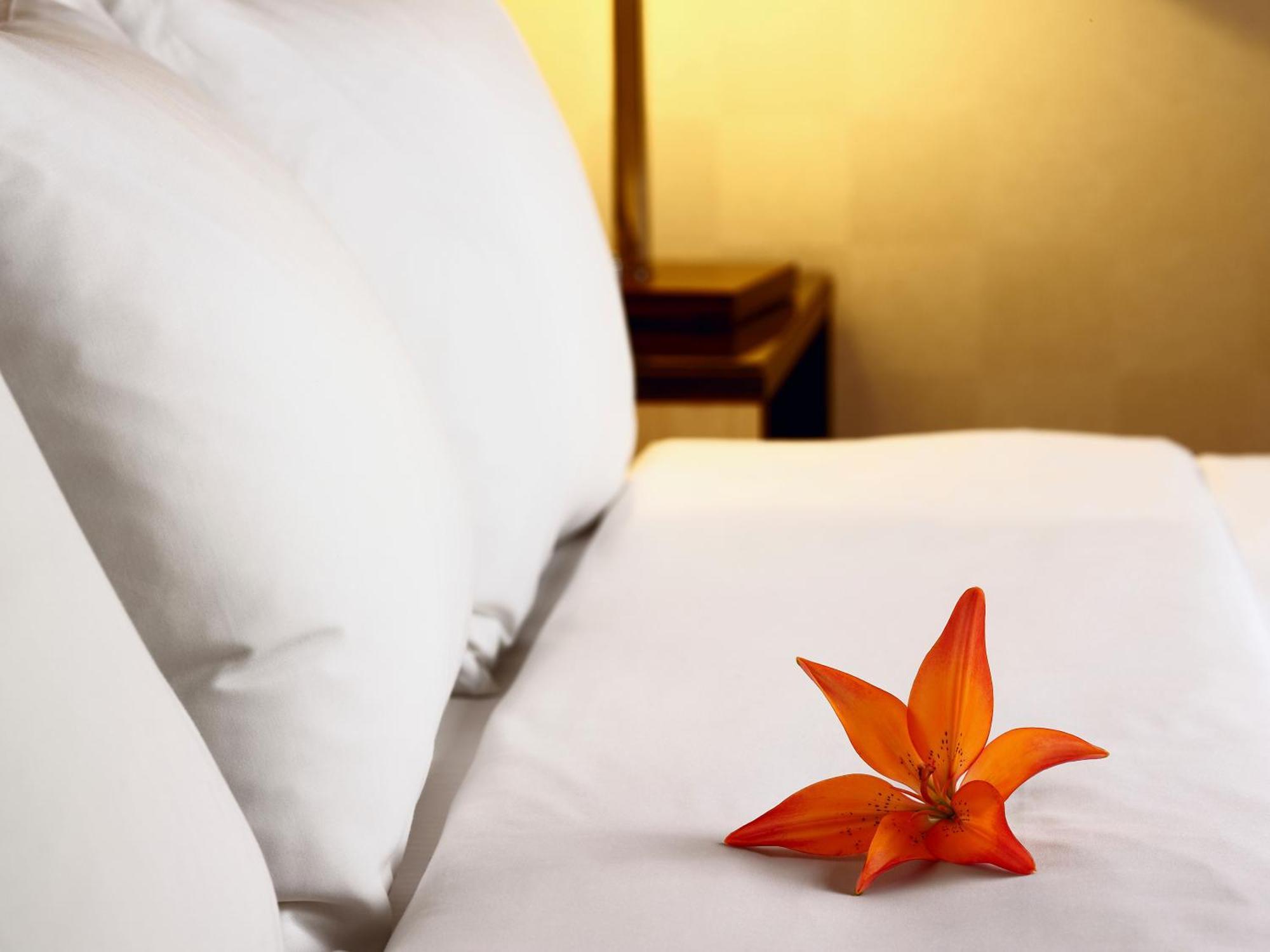 Hotel Acadia Québec Eksteriør bilde